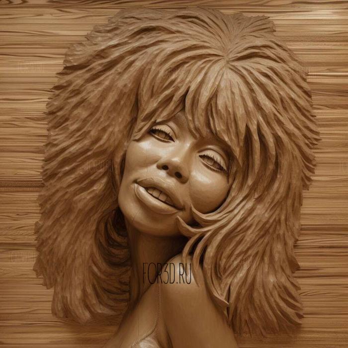 Tina Turner 1 stl model for CNC